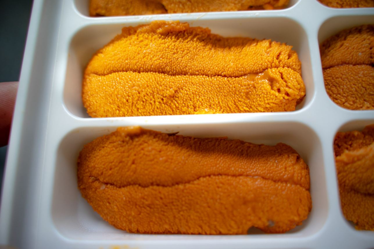 Buy Premium Uni (California) 100g - Catalina Offshore - Online