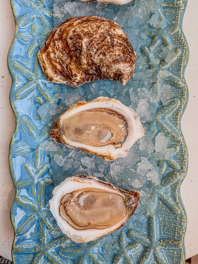 Canadian East Coast Oysters