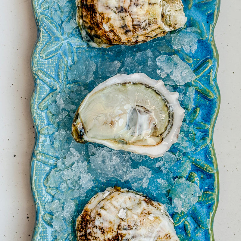 Connecticut Oysters