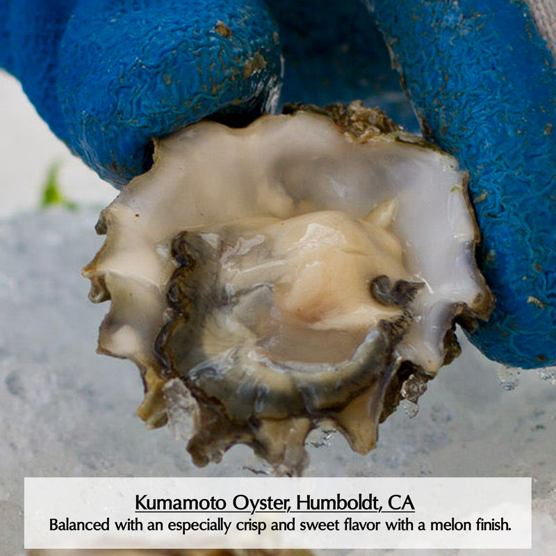 Pacific Oysters