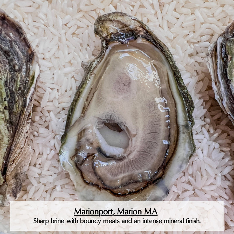 Massachusetts (Cape & Islands) Oysters