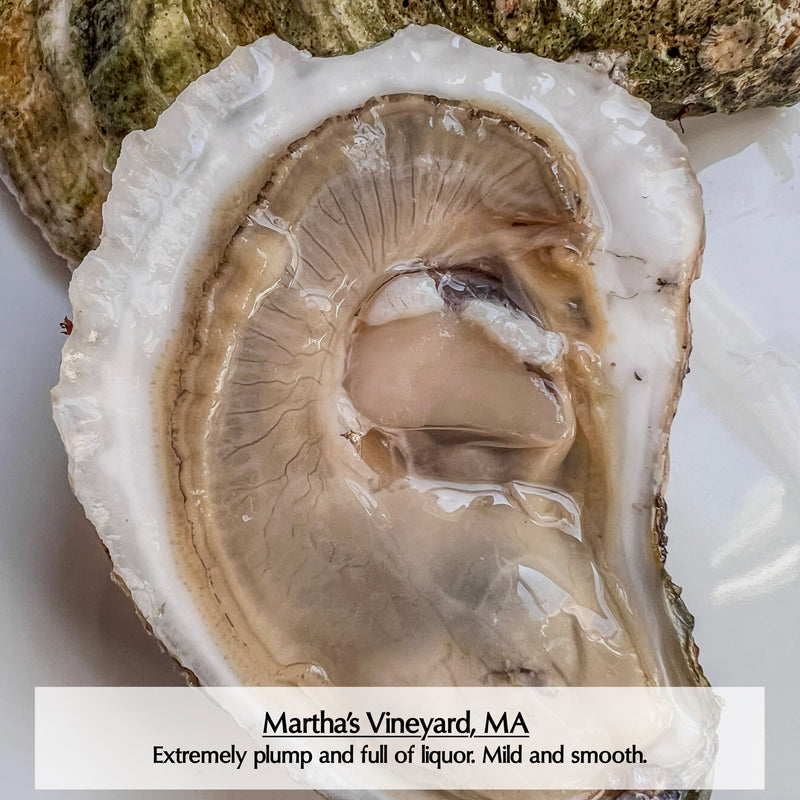 Massachusetts (Cape & Islands) Oysters