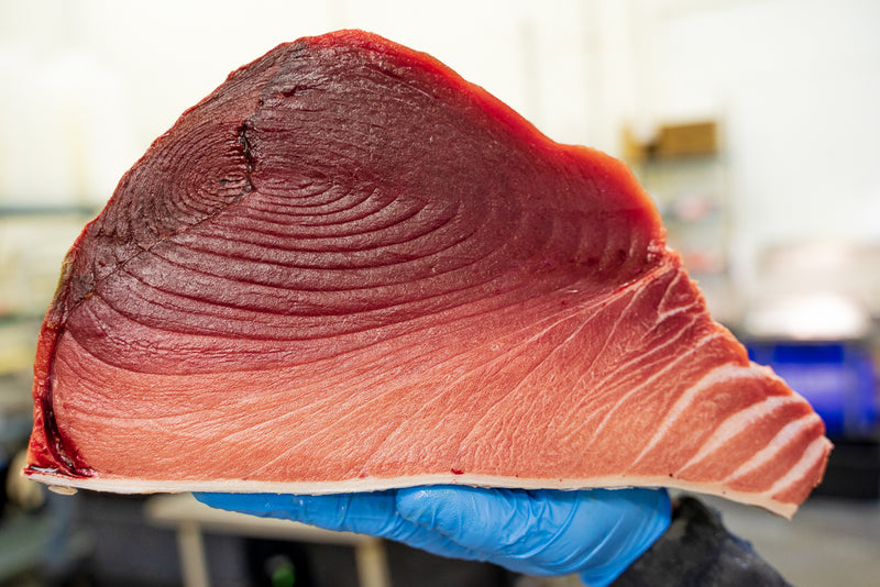 Bluefin Tuna - Southern California