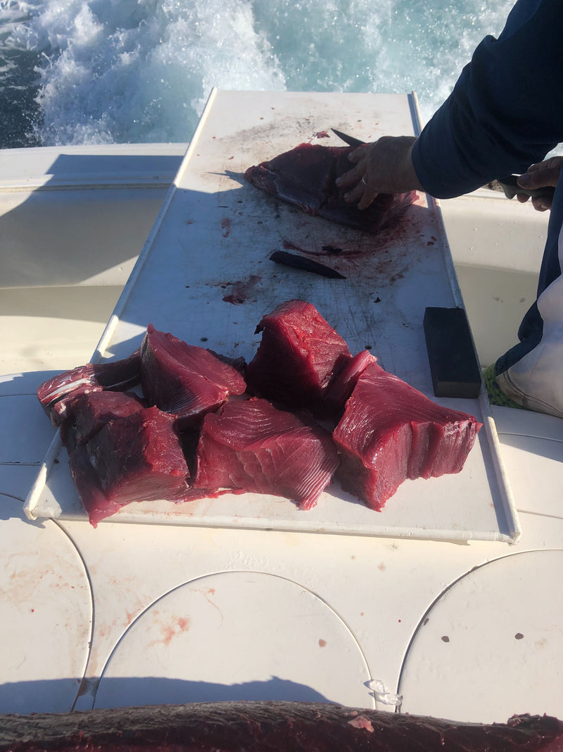 Bluefin Tuna - Southern California