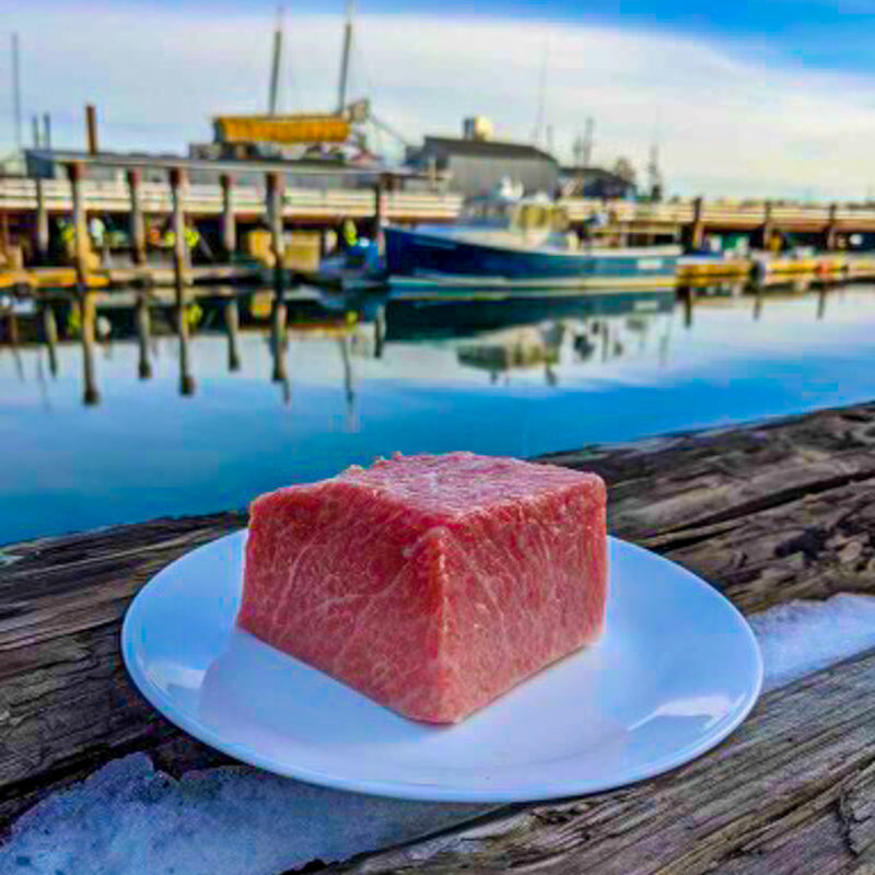 Bluefin Tuna - Southern California